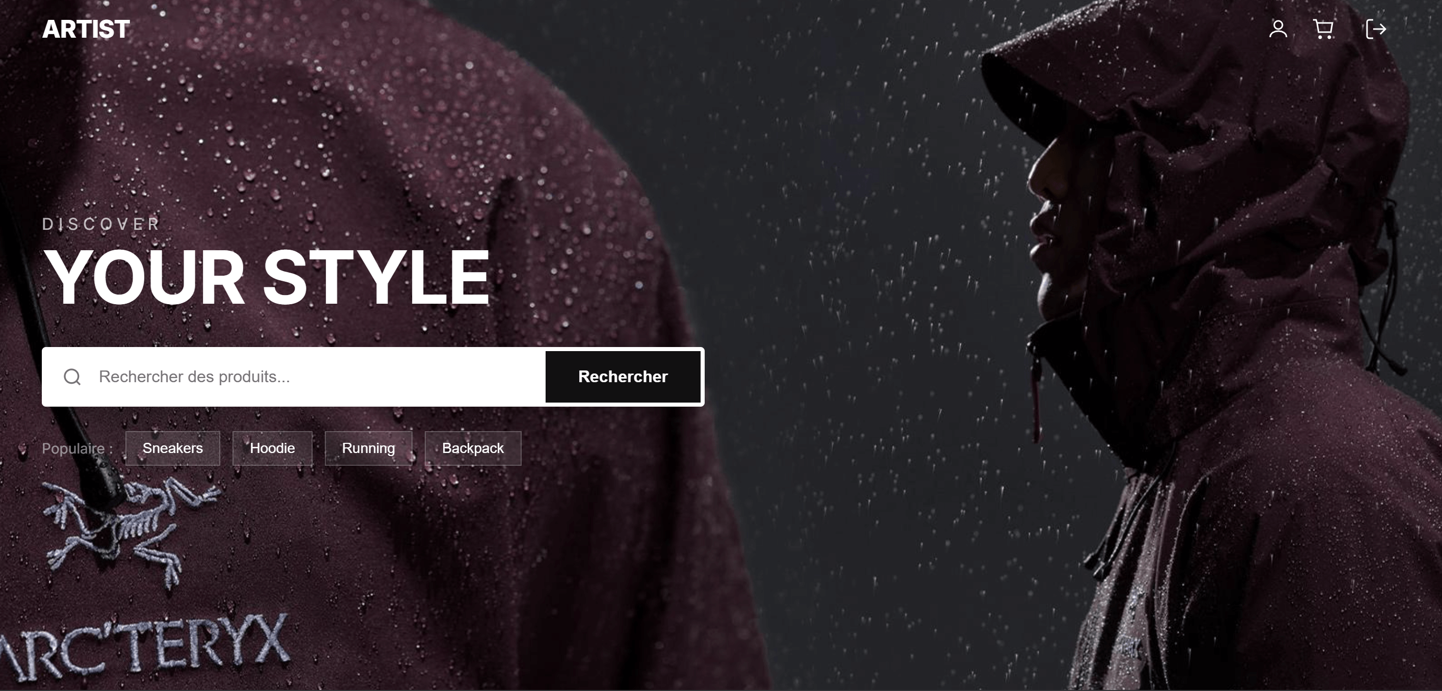 Site e-commerce – Artist